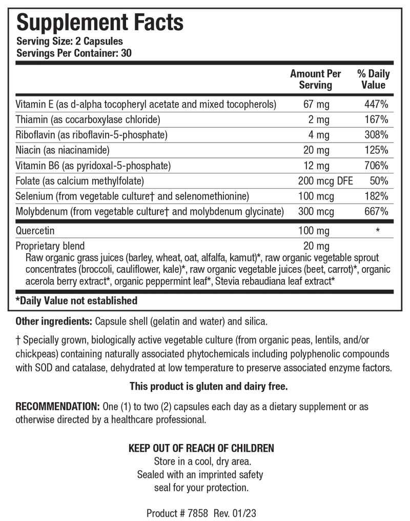 Biotics Research TolerAid -- 60 Capsules