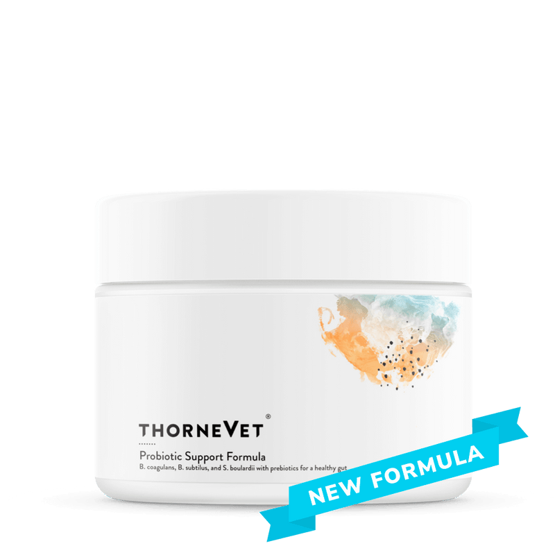 Thorne Probiotic Support Formula (formerly Bacillus CoagulansVET) -- 60 Soft Chews