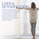 Pure Encapsulations - NAC 600 mg - Amino Acids to Support Respiratory Function, Glutathione Production, and Detoxification* - 360 Capsules