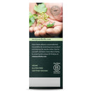 Gaia Herbs Black Elderberry NightTime Syrup -- 5.4 oz