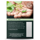 Gaia Herbs Lactation Support -- 16 Tea Bags