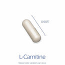 Pure Encapsulations l-Carnitine fumarate -- 120 Capsules