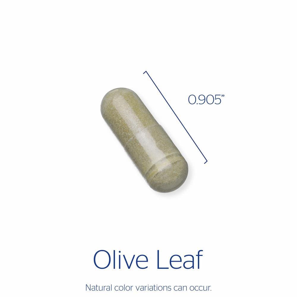 Pure Encapsulations Olive Leaf -- 60 Capsules