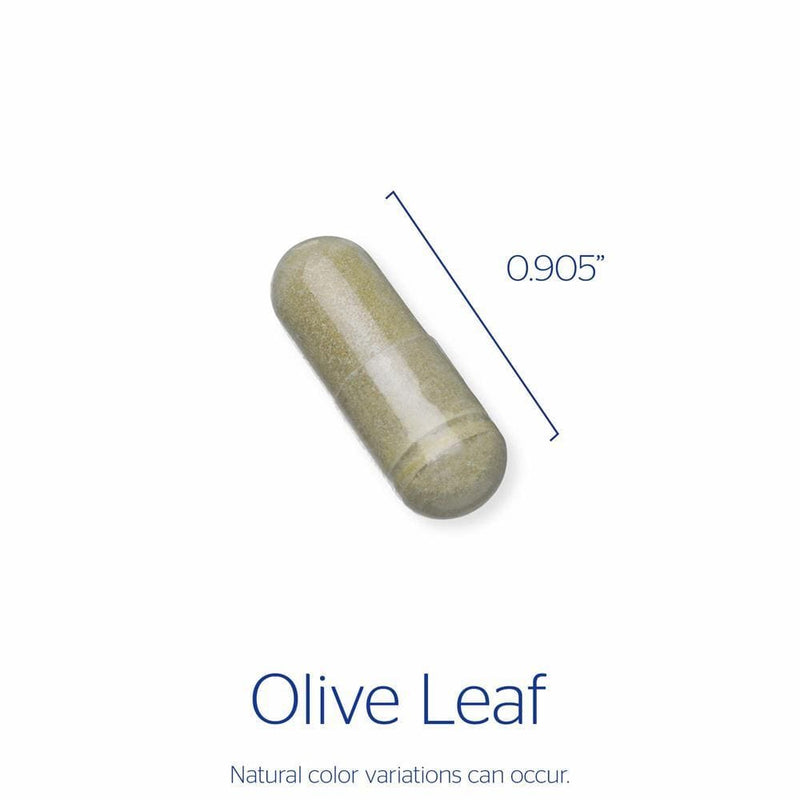 Pure Encapsulations Olive Leaf -- 60 Capsules