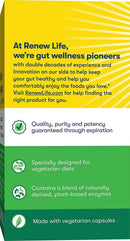 Renew Life Adult Digestmore Enzyme Supplement -- 90 Vegetarian capsules