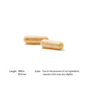 Thorne Research Meriva-SF -- 120 Sustained Release Capsules