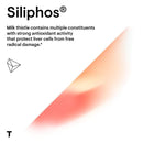 Thorne Siliphos -- 90 Capsules