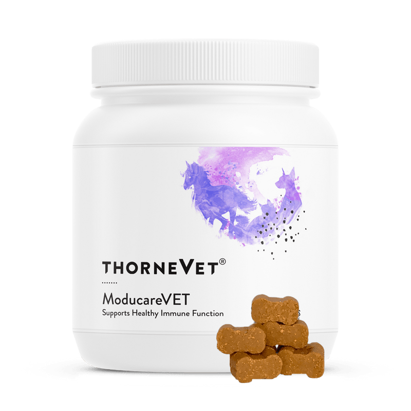 ThorneVet Veterinary ModucareVET -- 90 soft chews